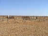 cemetery-chad-loader-013